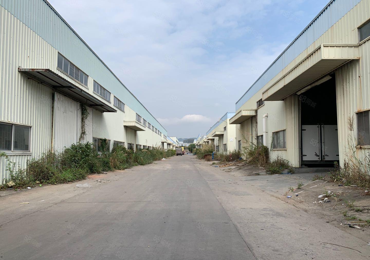 滴水10米1000平方起博罗一手资源纯钢构厂房原房东红本在手