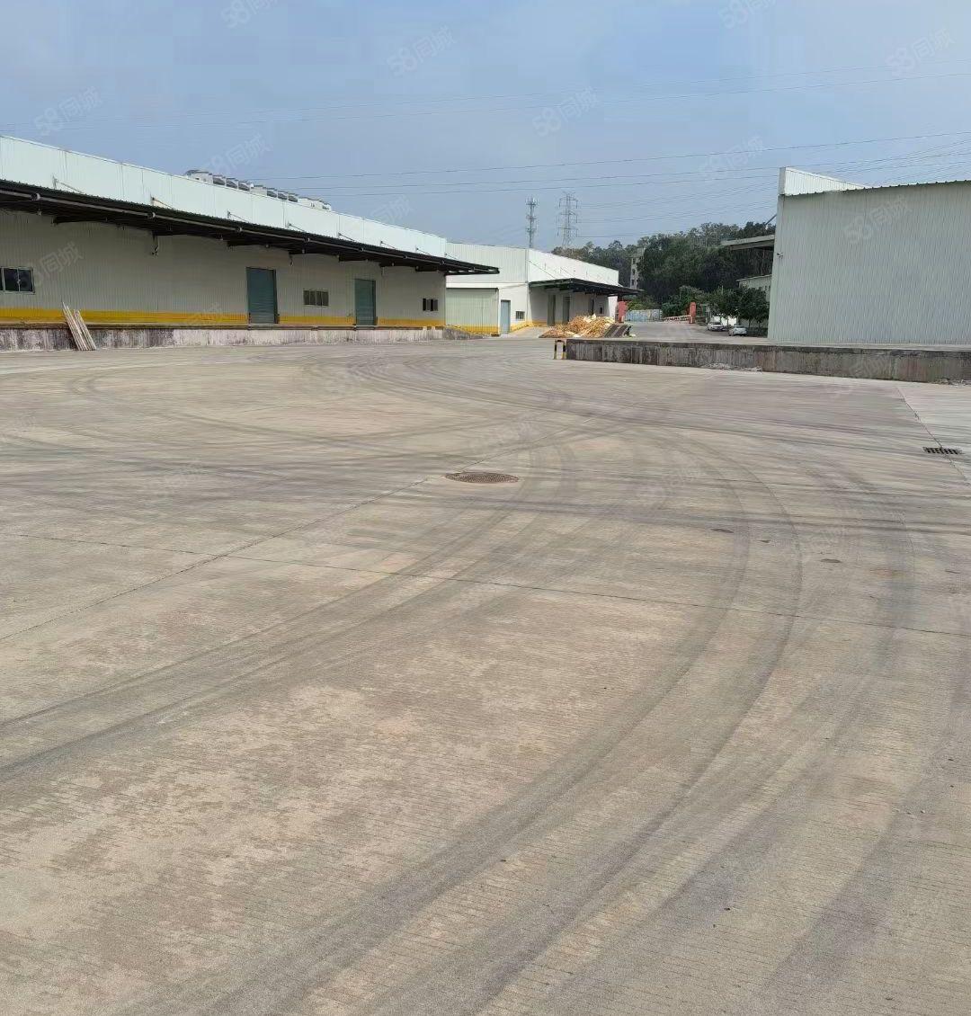 博罗新出单一层厂房招租