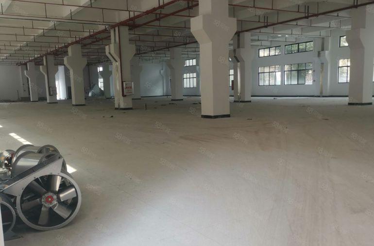 19000平方米全新红本重工业厂房出租，首层高度七米