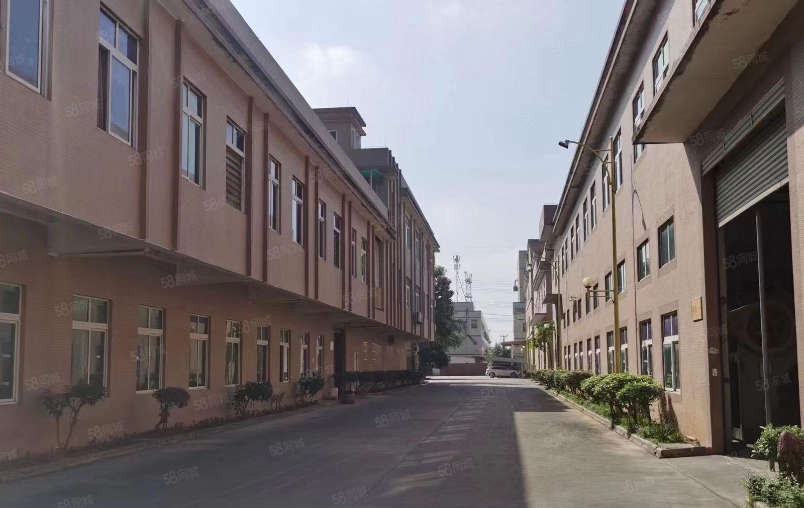 花园式原房东红本30000平厂房，内有篮球场，羽毛球场等