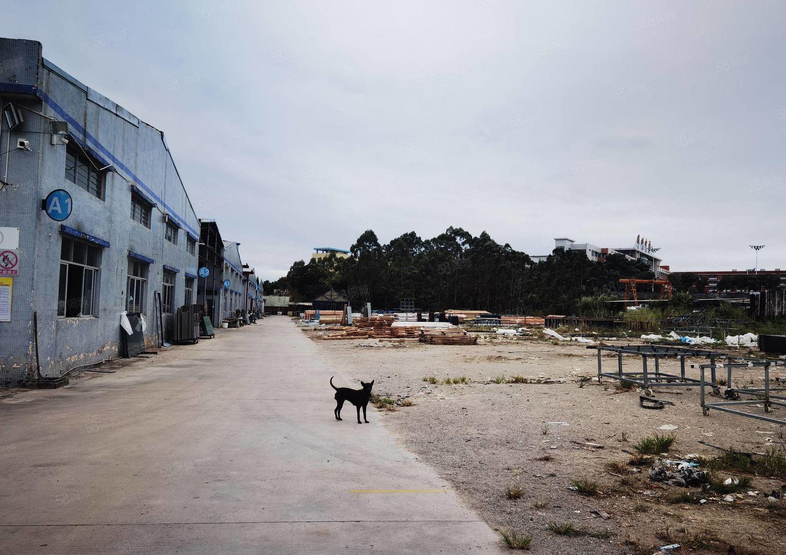 博罗杨村镇空地超大独院单层厂房出租，1500平方一栋可做污染