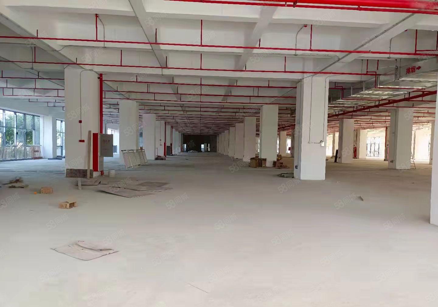 园洲原房东自用厂房分租独栋4850平方三层标准厂房 可隔独院