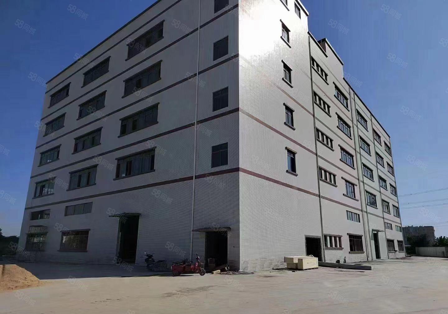 自建厂房！石湾全新独院标准一楼7米带牛角，格局方正，不限行业