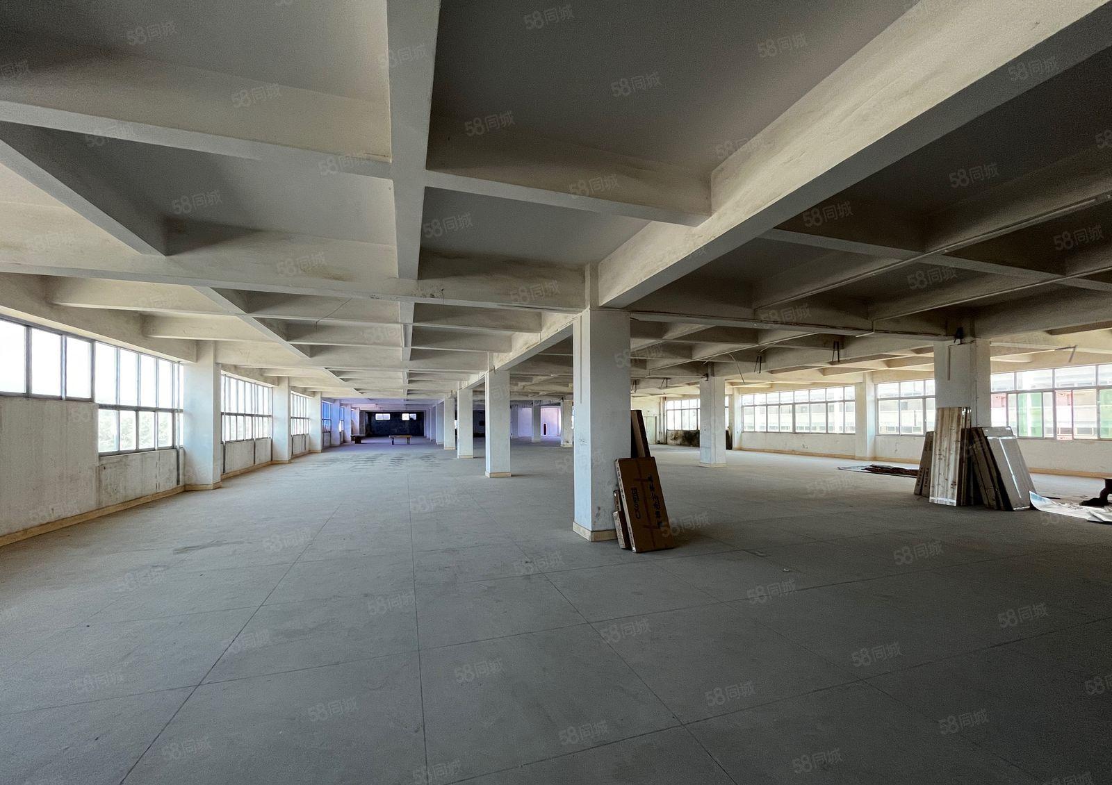 博罗县柏塘镇广梅公路龙广实业独门独院标准厂房