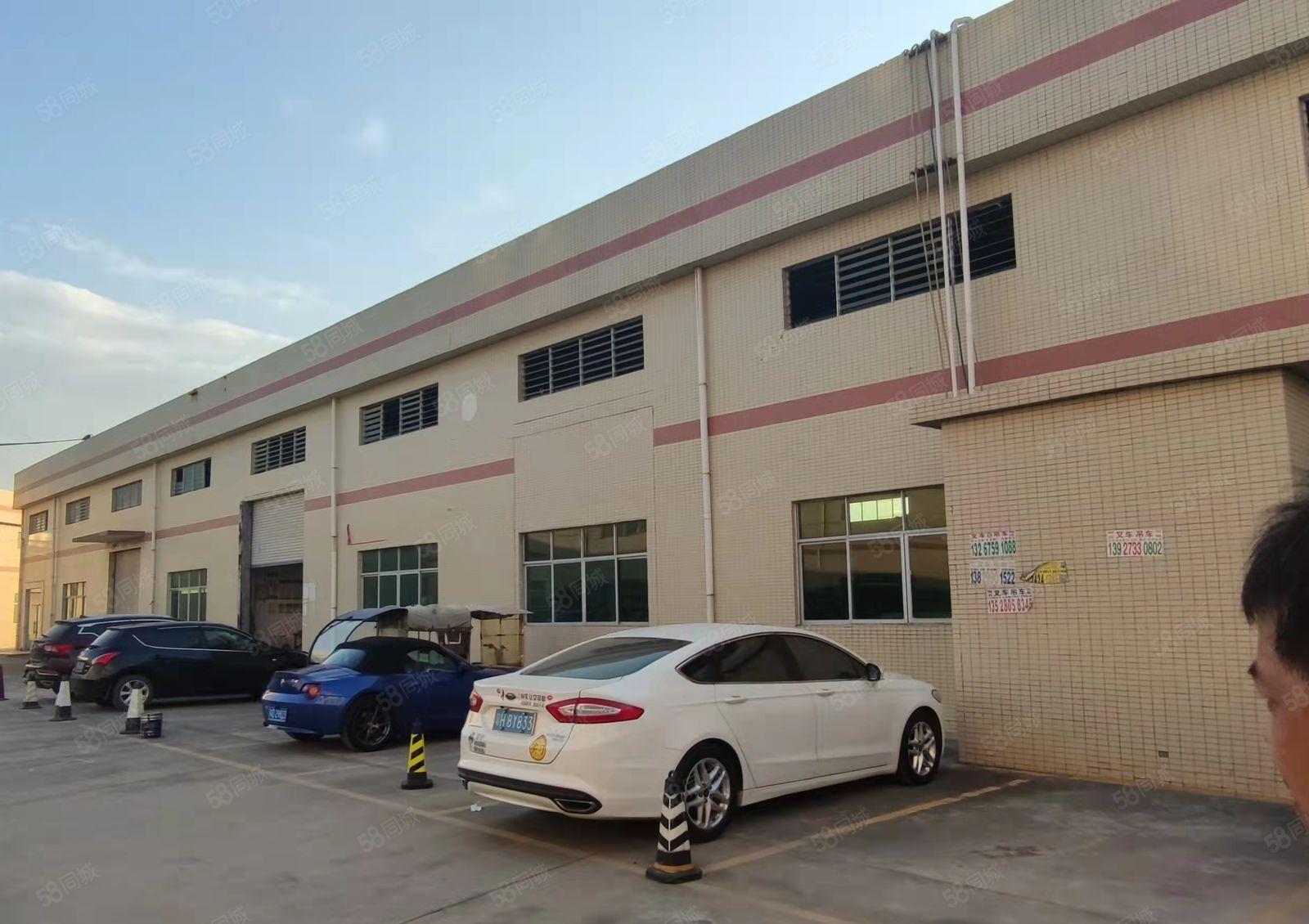 石湾镇科技园钢构厂房出租1000平方，证件齐全，交通方便