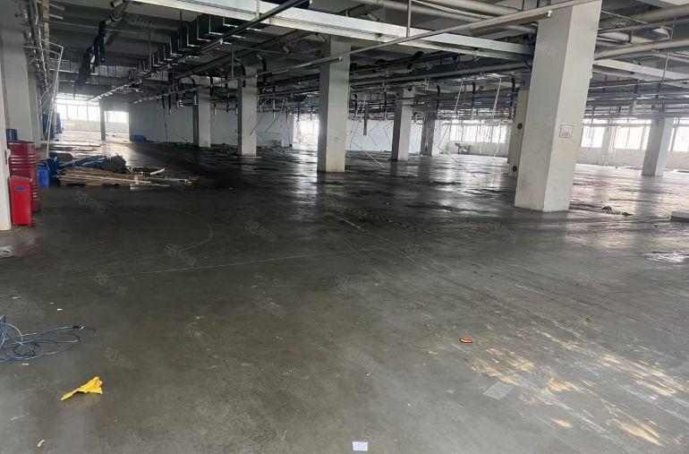 靓四角楼标准厂房16000平米招租