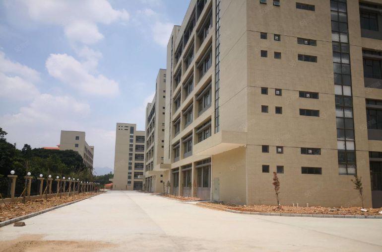 惠城区三栋附近独院标准28500平方厂房出租