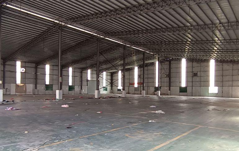 园洲镇独院单一层厂房出租仓库出租，空地大交通便利可办环评