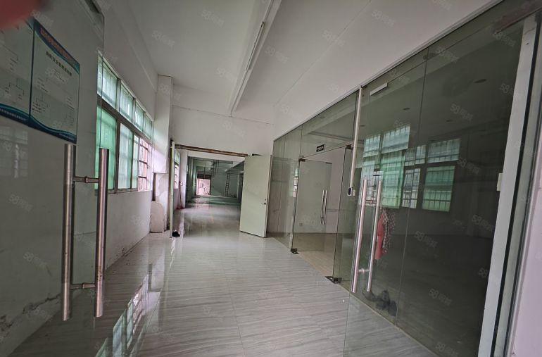 园洲电子包装类看过来500平，750平，1100平 水电齐全