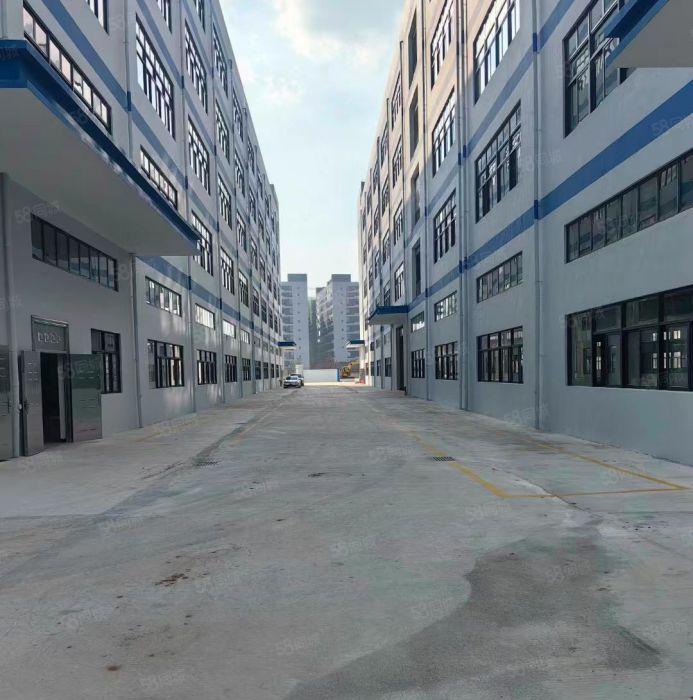 园洲镇产业园区20000平米全新标准厂房出租，1000起分租