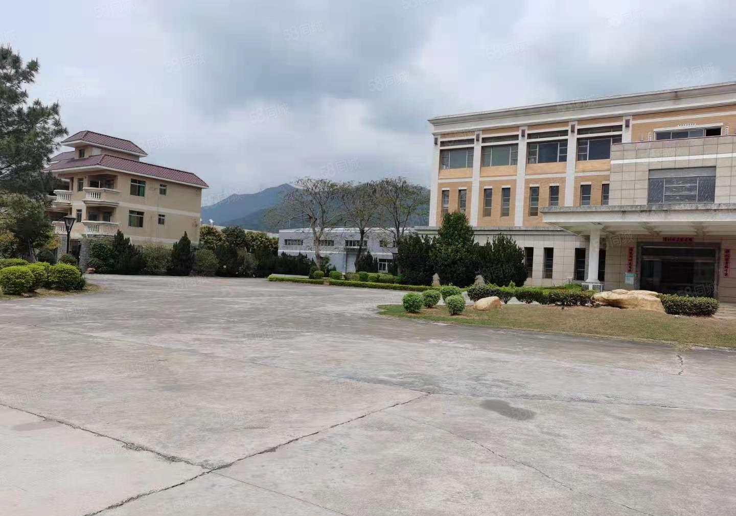 可分租博罗石湾里波水12000独门独院钢构厂房仓库出租大空地