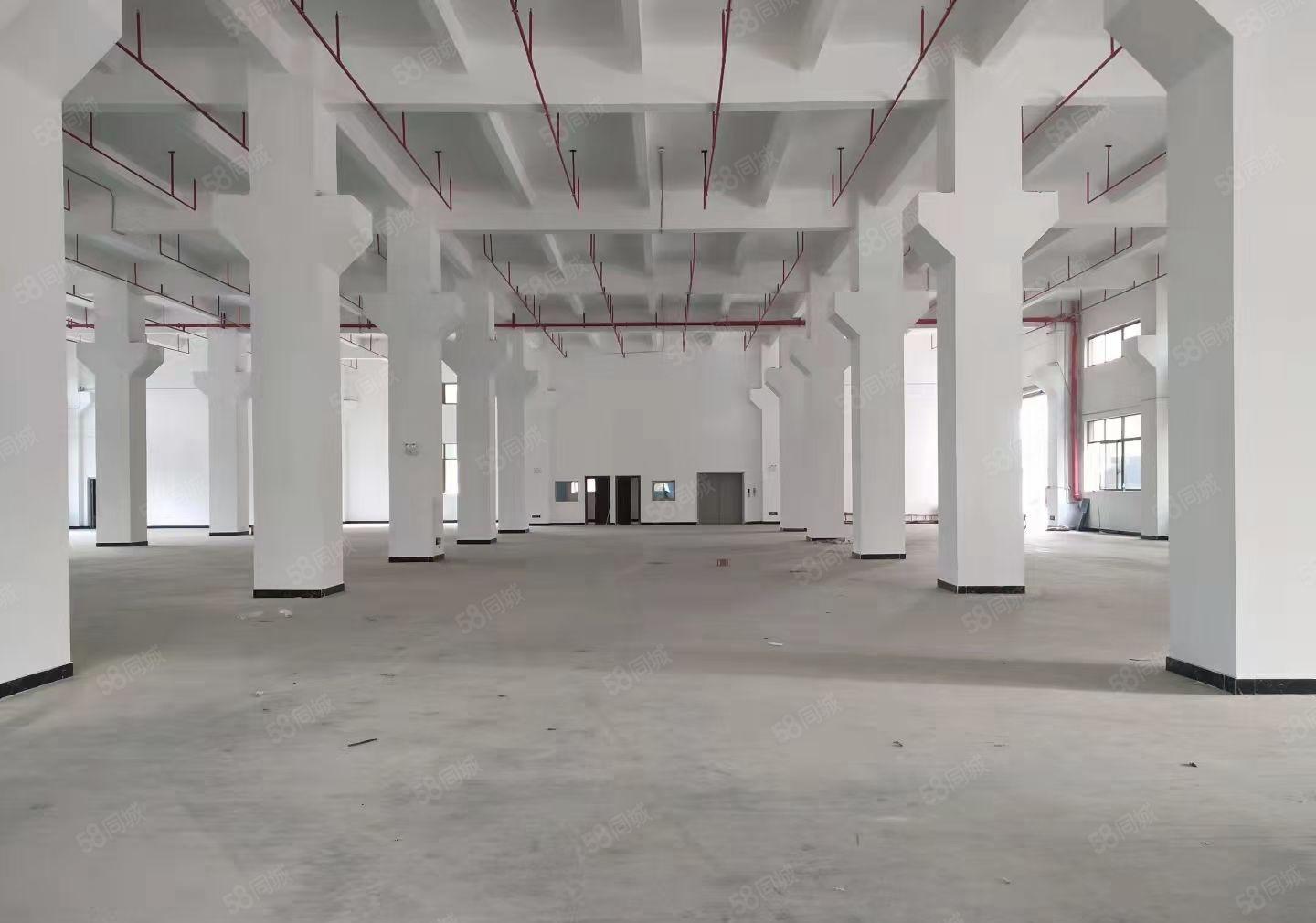 龙华镇大道边标准厂房独院出租6000平方一栋证件齐全