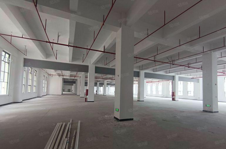 园洲镇全新独院标准厂房出租仓库出租，滴水七米，带蒸汽可分租