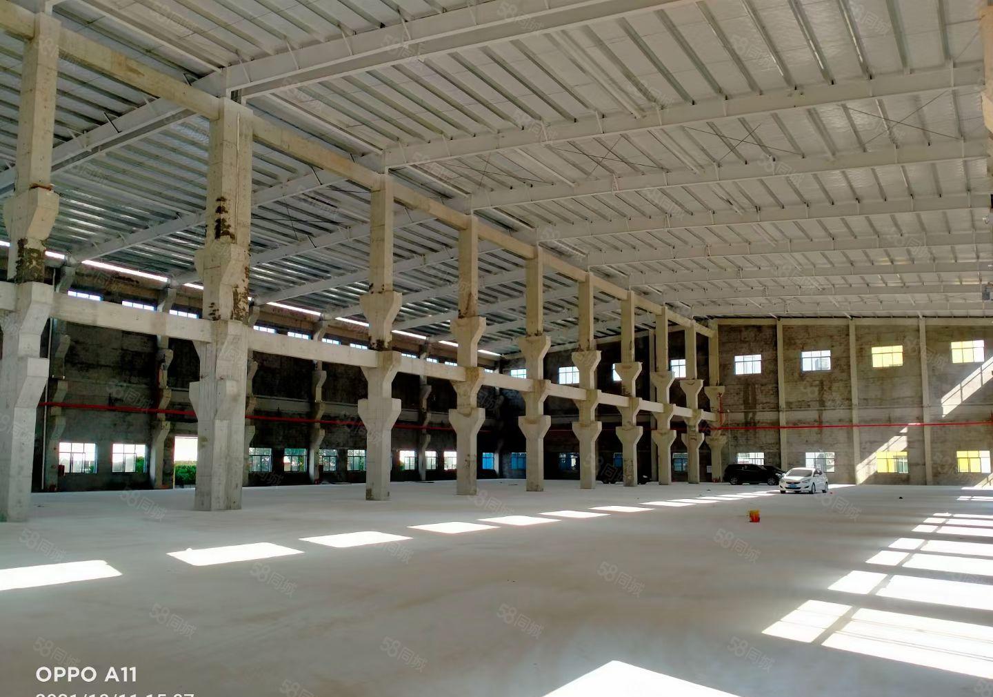 独门独院空地超大单一层带房产证出租