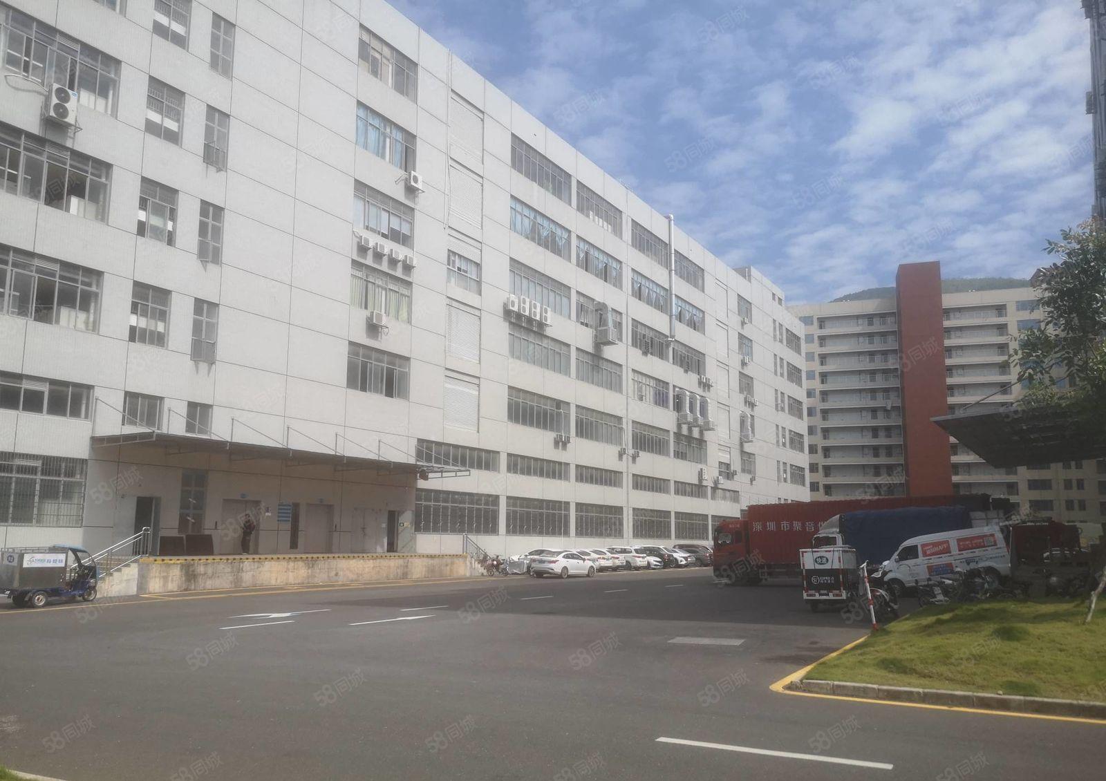 园洲镇高速出口 新出一楼5500平出租 带卸货平台滴水7米