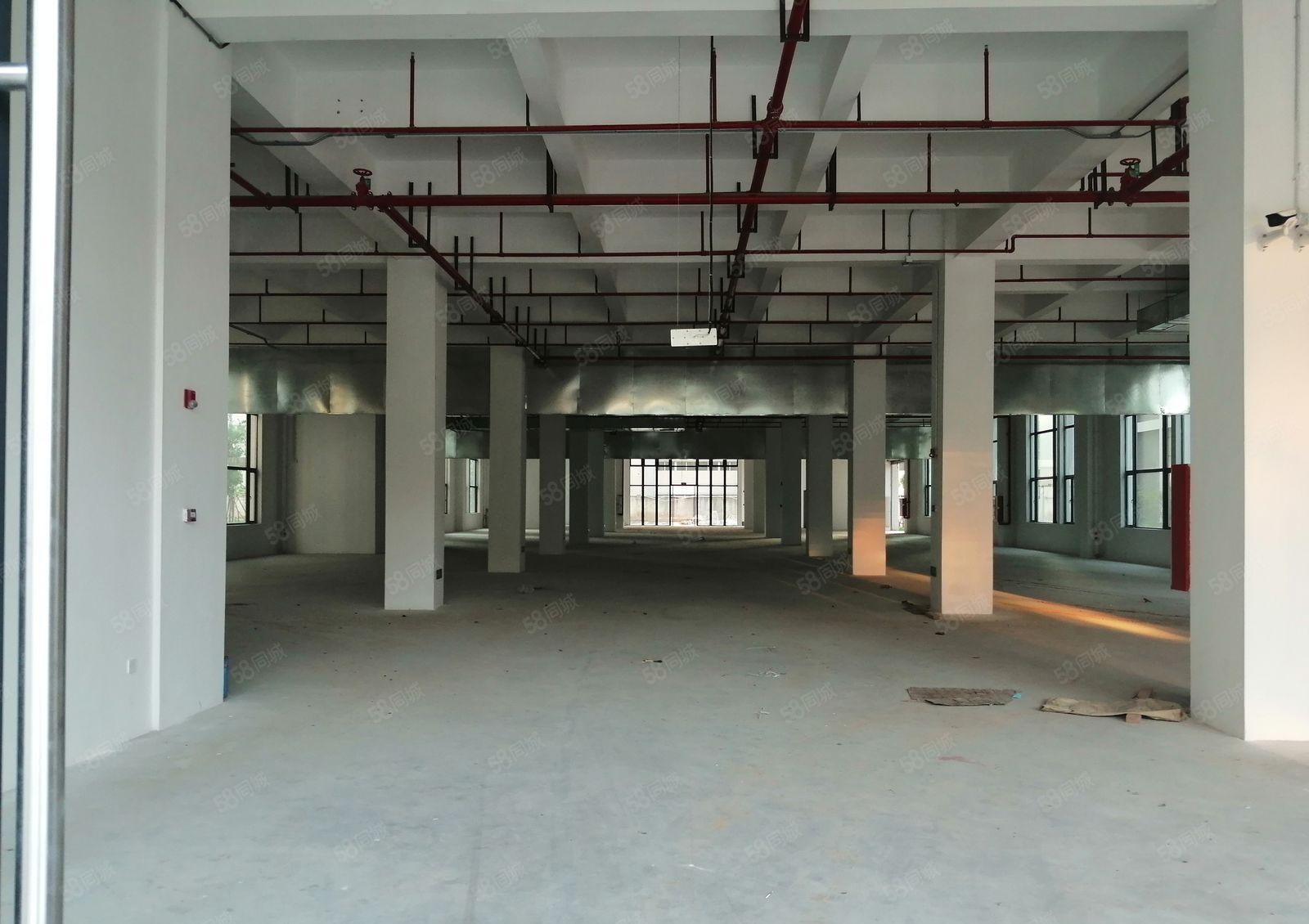 石湾科技园（红本）厂房火爆招租