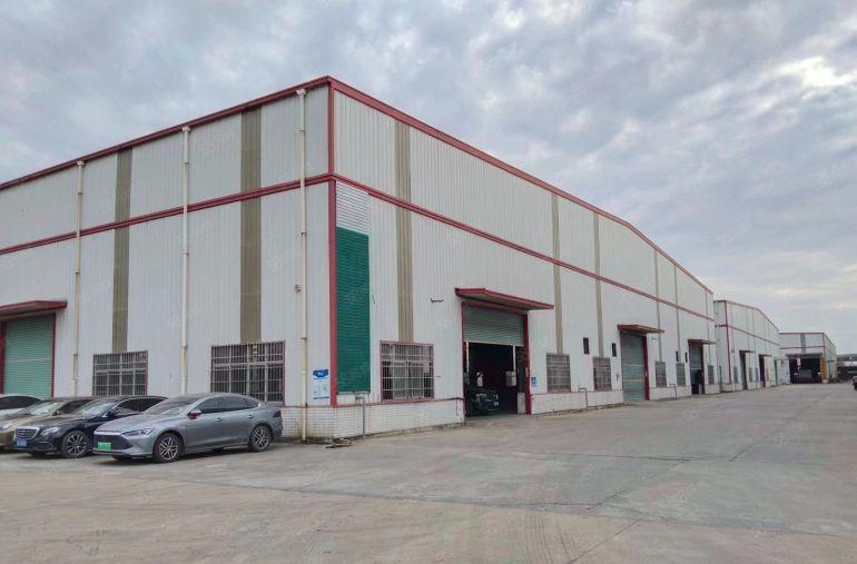 园洲镇原房东滴水11米高钢构厂房4200平米，实际面积出租