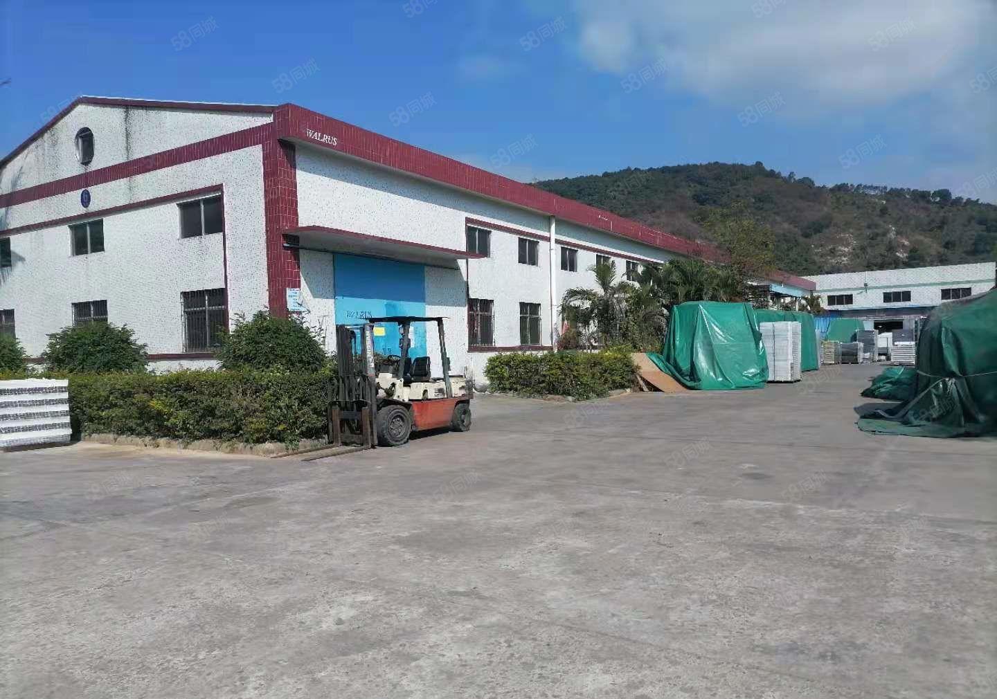 2000起分栋租！26000方独院钢构厂房仓库出租证件齐全