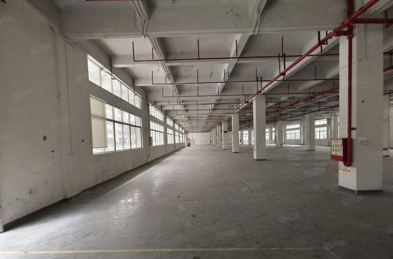 罗阳独门独院工业园区标准厂房出租可分租