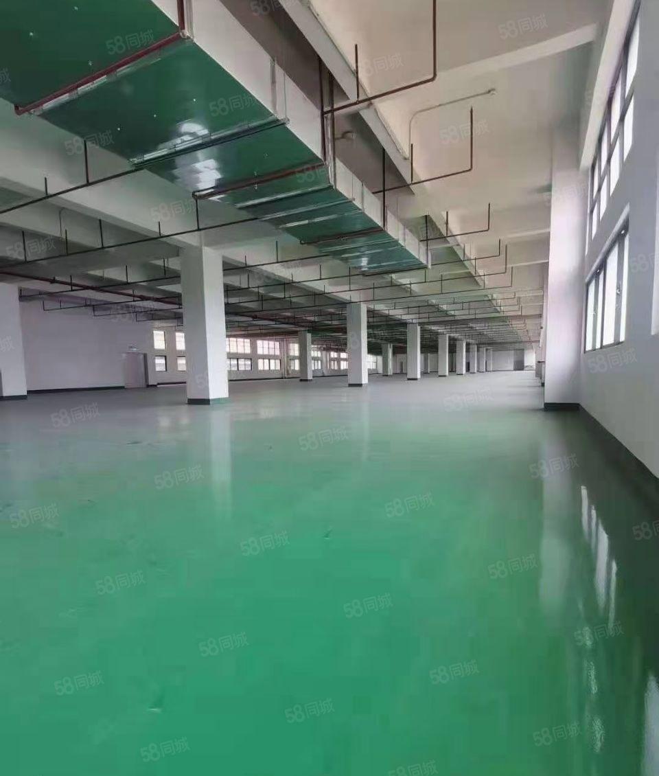 龙溪全新厂房出租  价格优惠  环境形象佳