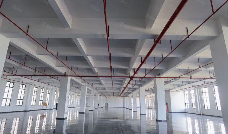 园洲电商福音物流仓库原房东标准厂房出租价格10块