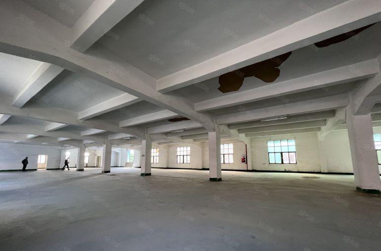 博罗石湾低价原房东独门独院厂房3000平出租形象好易招工免佣