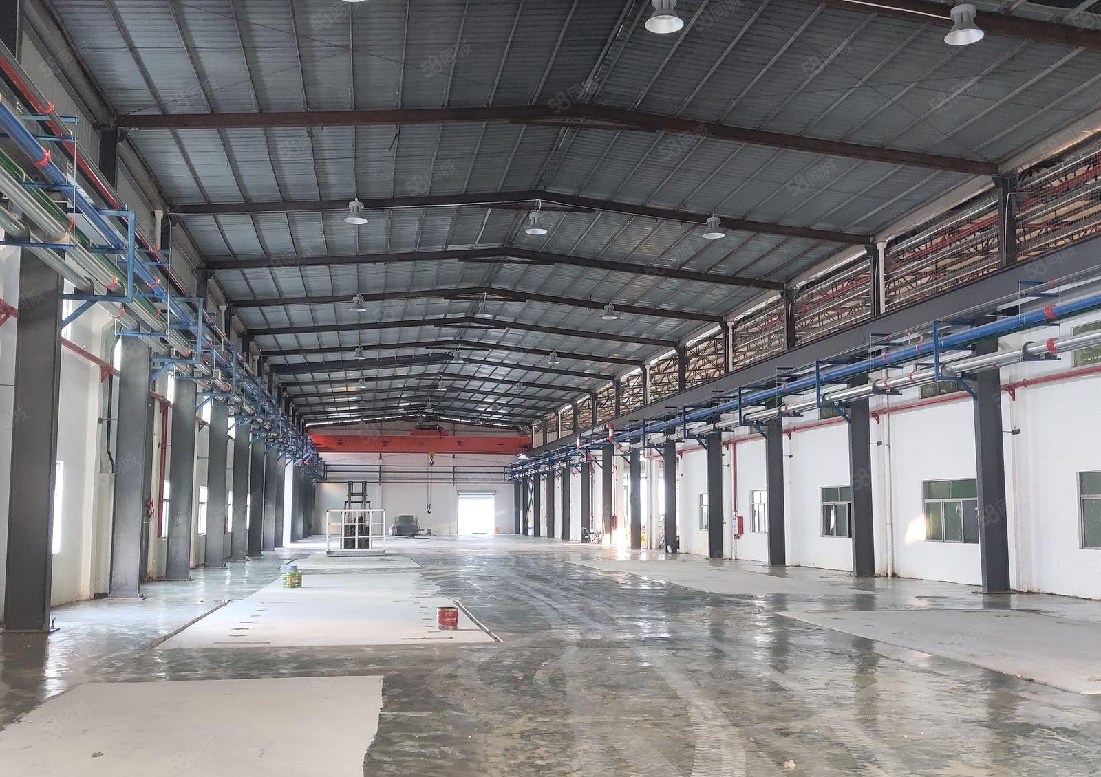 园洲镇原房东独院标准单一层钢构仓库厂房出租