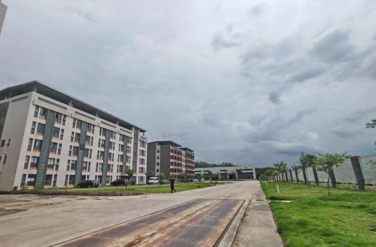 博罗全新现代化超国标重工业钢结构厂房出租中高12米大小分租