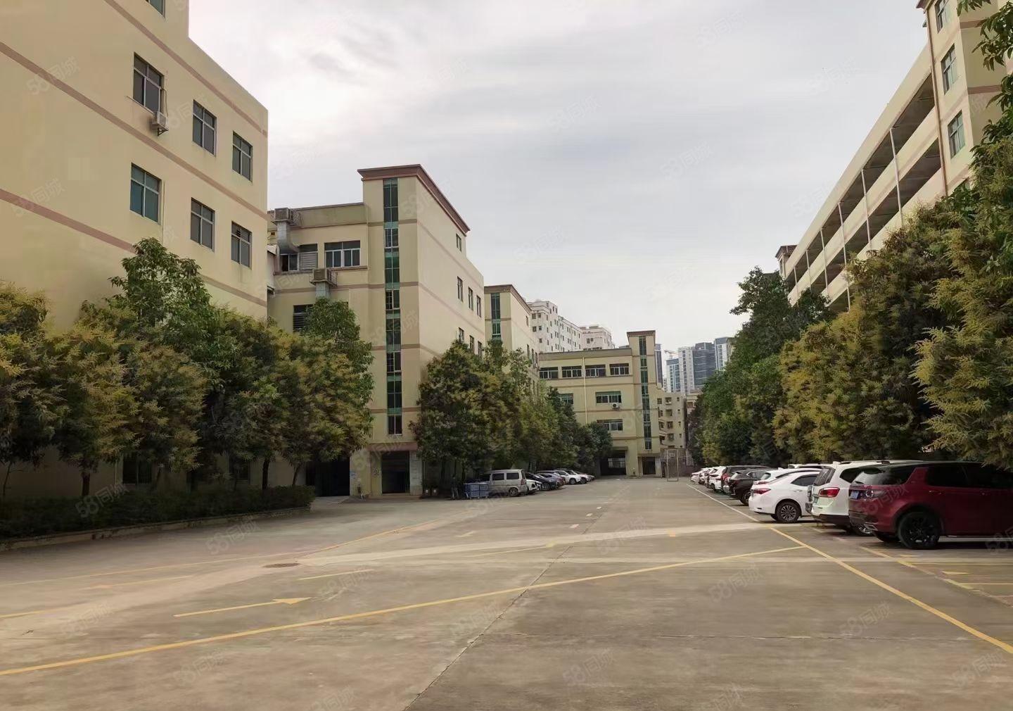 原房东花园式独院厂房出租6000平方，现成装修，可办环评。