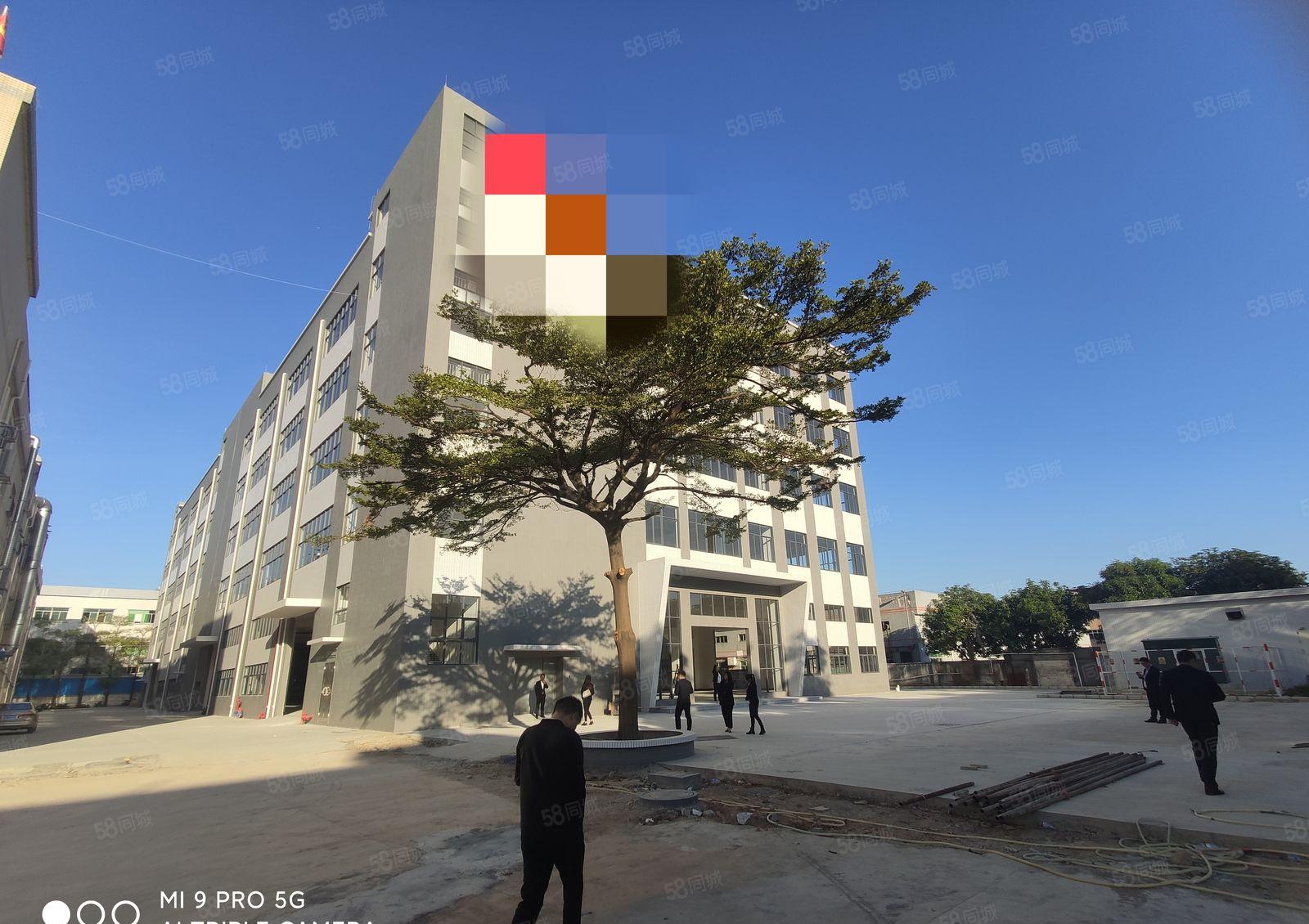 1000平方起租，石湾科技园红本重工业标准厂房招租，易招工。