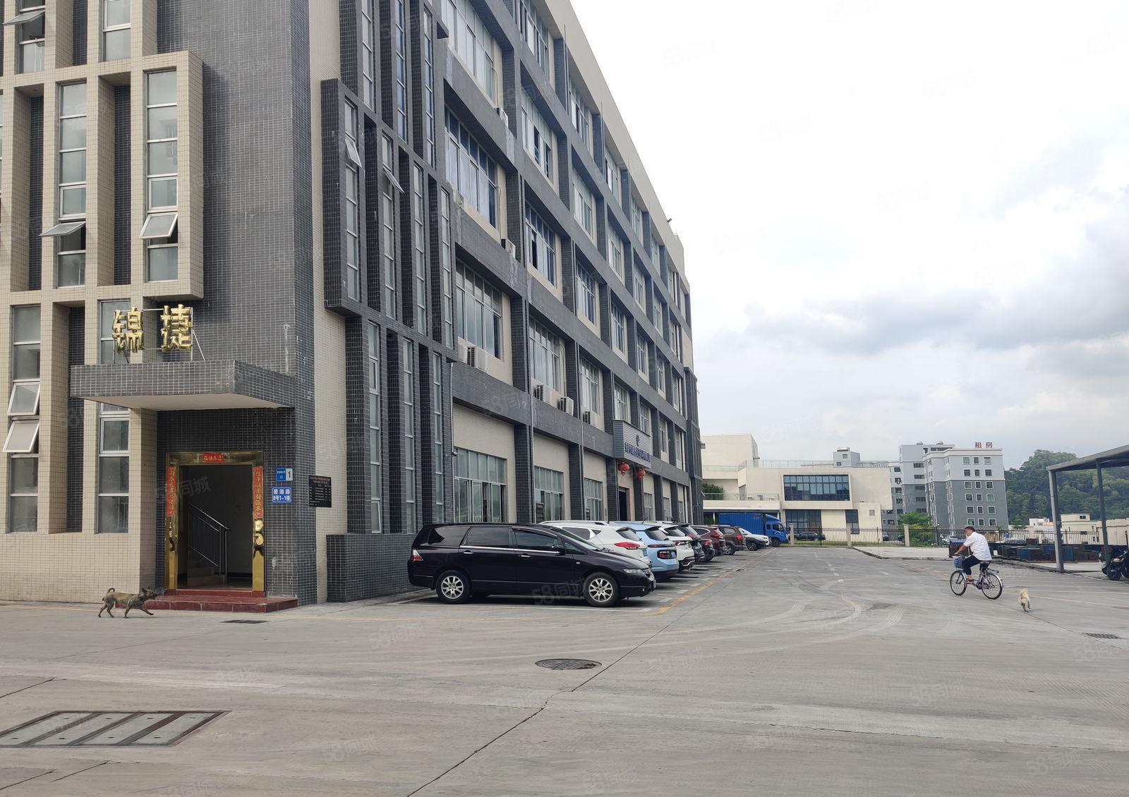 6元园洲石湾原房东独院无公摊2万平厂房200起租一楼仓库出租