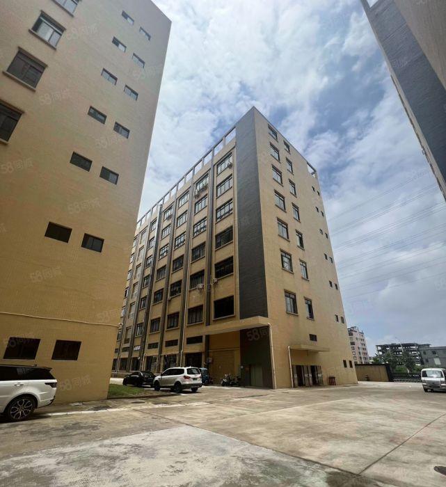 园洲实际面积8元全新原房东厂房招租好招工可分租