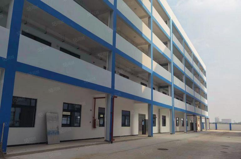 园洲镇产业园区20000平米全新标准厂房出租，1000起分租