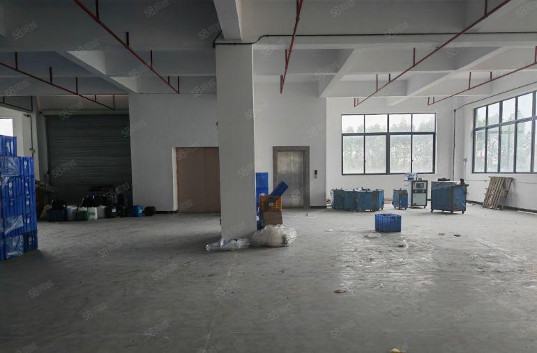 园洲工业区原房东自用厂房分租