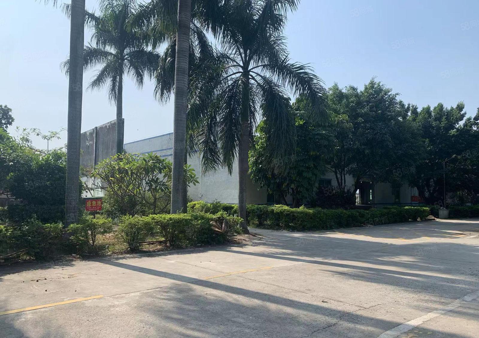 原房东厂房直招，独门独院4500平，现成办公楼，独立食堂宿舍