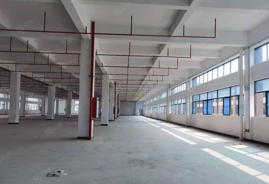 不停电园区！罗阳镇四角楼全新标准厂房42500出租