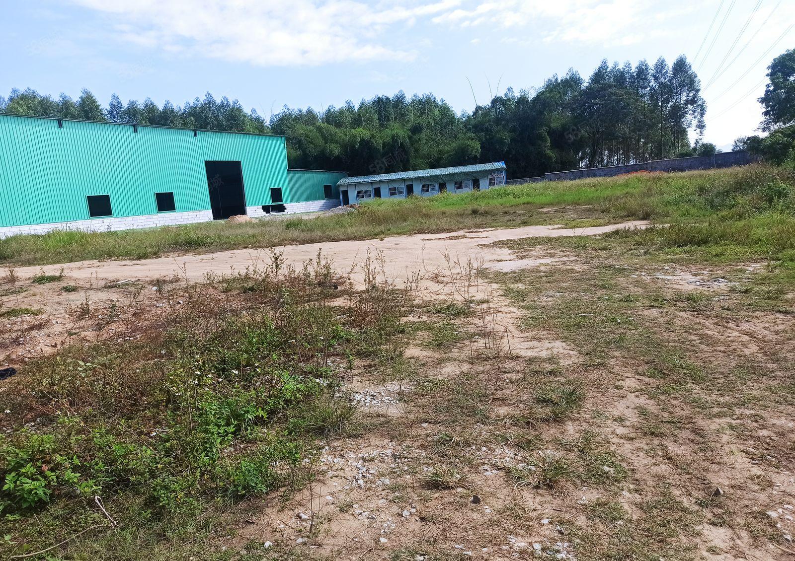 博罗全新独院铁皮房1800平方，空地4000，周边无居民