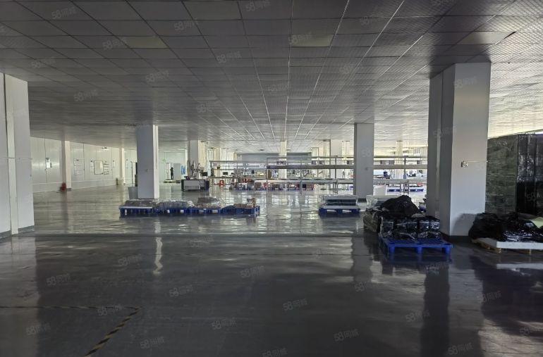 原房东厂房直租，现成精装修面积实量！罗阳镇园区厂房3200平