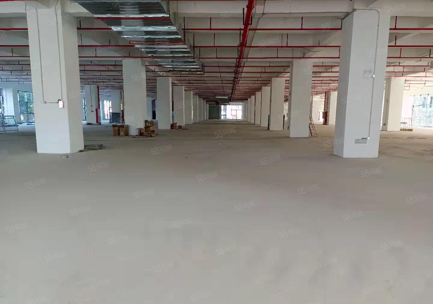 园洲原房东自用厂房分租独栋4850平方三层标准厂房 可隔独院