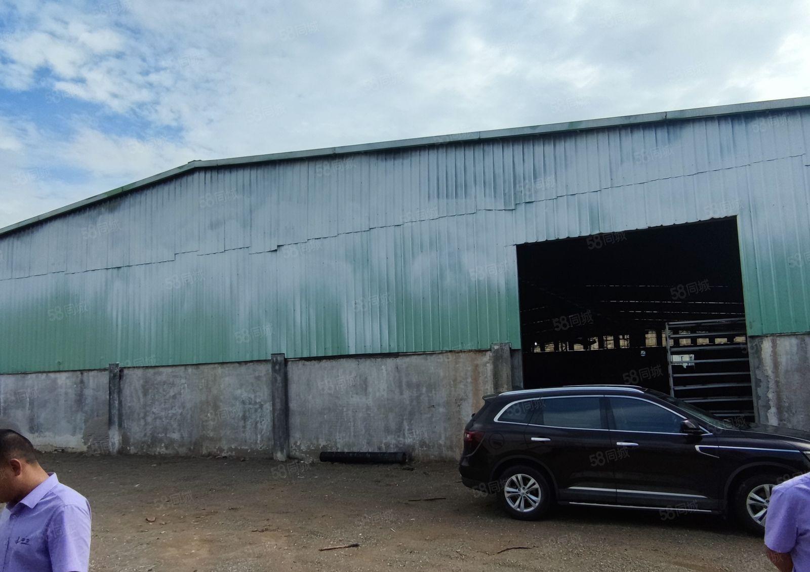 园洲钢构15元6000方厂房出租