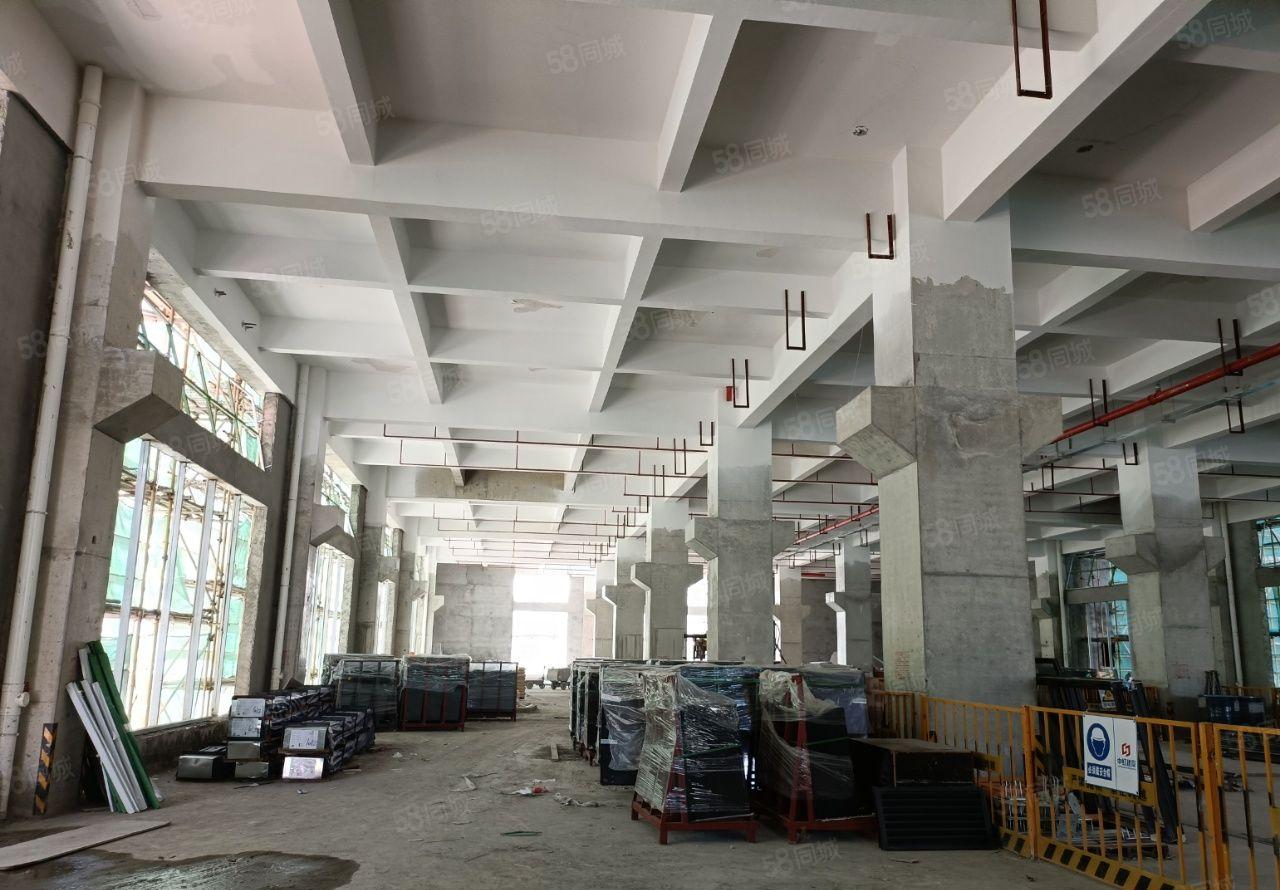 罗阳镇标准楼房红本厂房8块钱出租可整租可分租 原房东招租