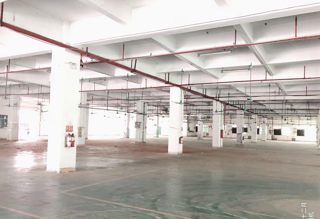 博罗花园式厂房出租10000平，证件齐全，空地超大，包办环评