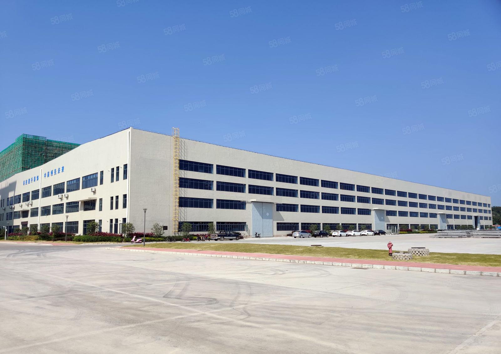 15元500平起租石湾园洲原房东16米高钢构一楼仓库厂房出租