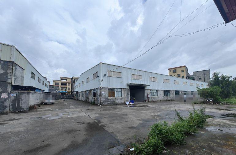 园洲镇单一层厂房6500平米，空地6000平米