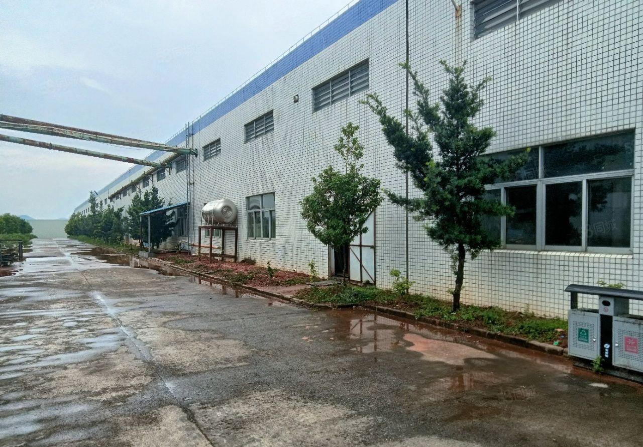 9元起！10500方独院钢构厂房出租，双证齐全，有消防喷啉