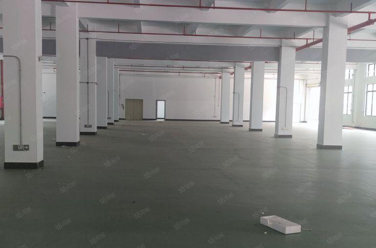 石湾3200平工业园区厂房出租绿化好可分租大车可进