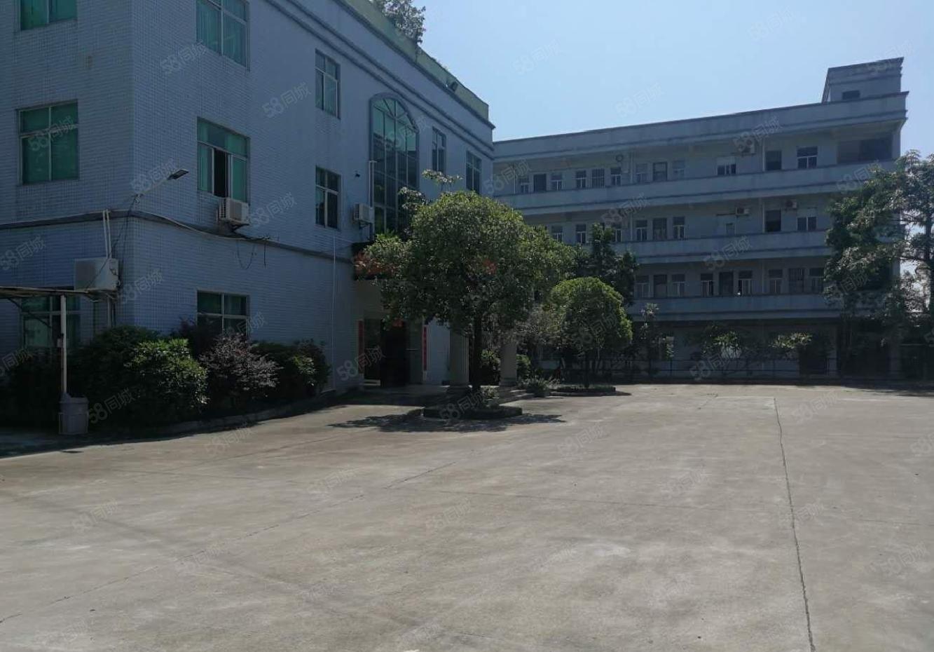 龙溪镇主道原房东单层厂房出租，单层3000一栋可分租齐全