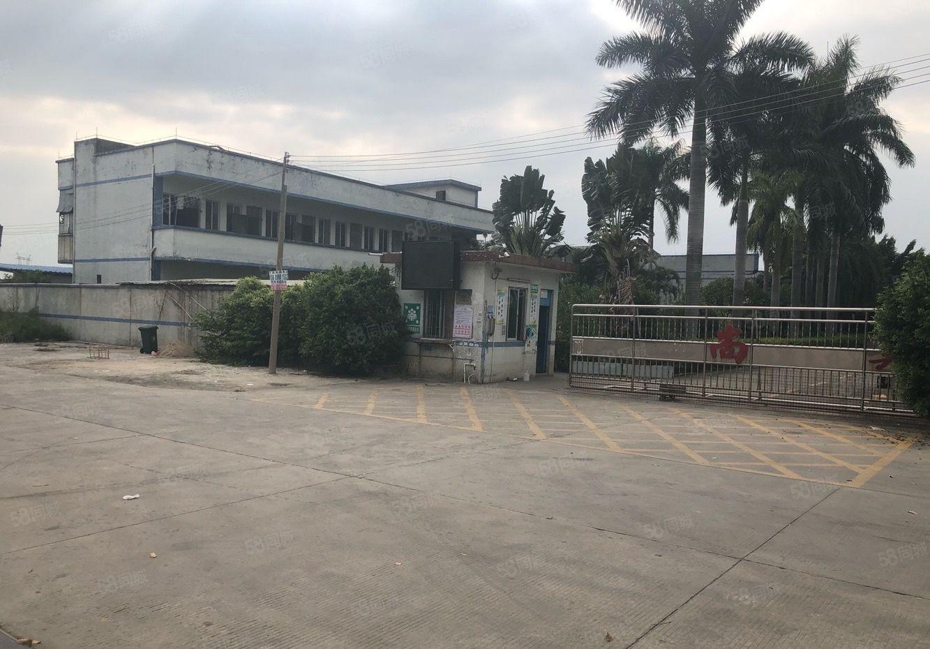 新出原房东独院砖墙带红本单一层4150平方带独立办公楼宿舍