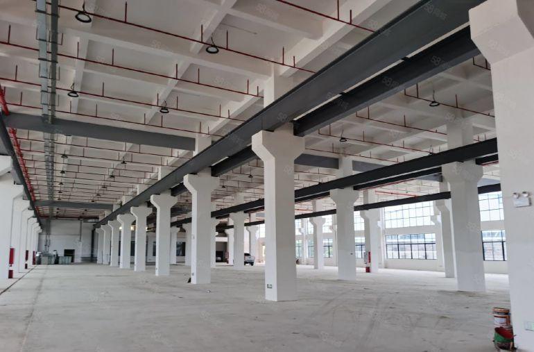 年关急租一楼9米120米带航轨承重2吨VOC喷油环评独院厂房