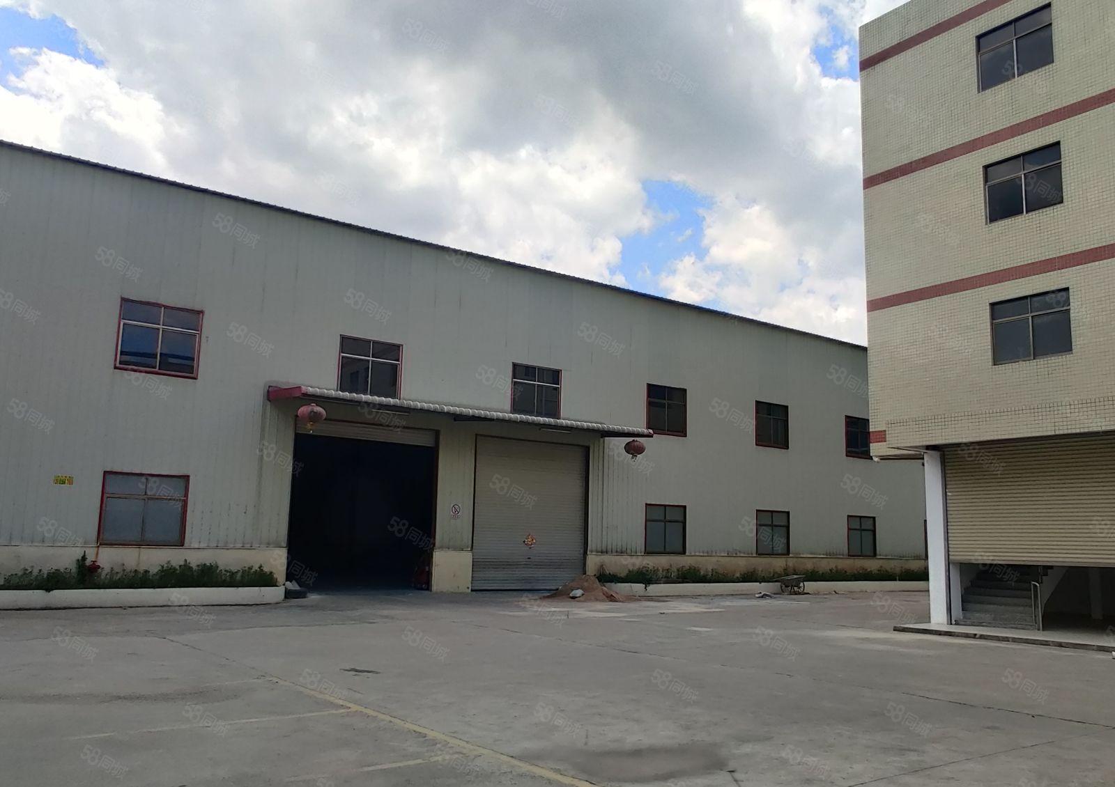 博罗杨村原房东独门独院钢构红本厂房12米高5800平